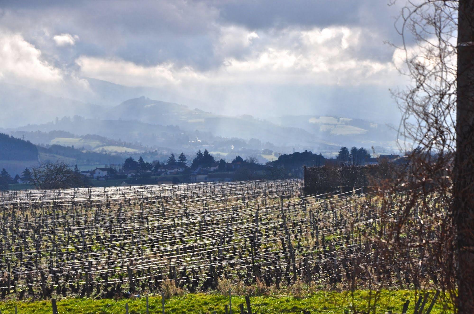 Le Clos Du Cher En Beaujolais Saint-Germain-Nuelles Eksteriør billede