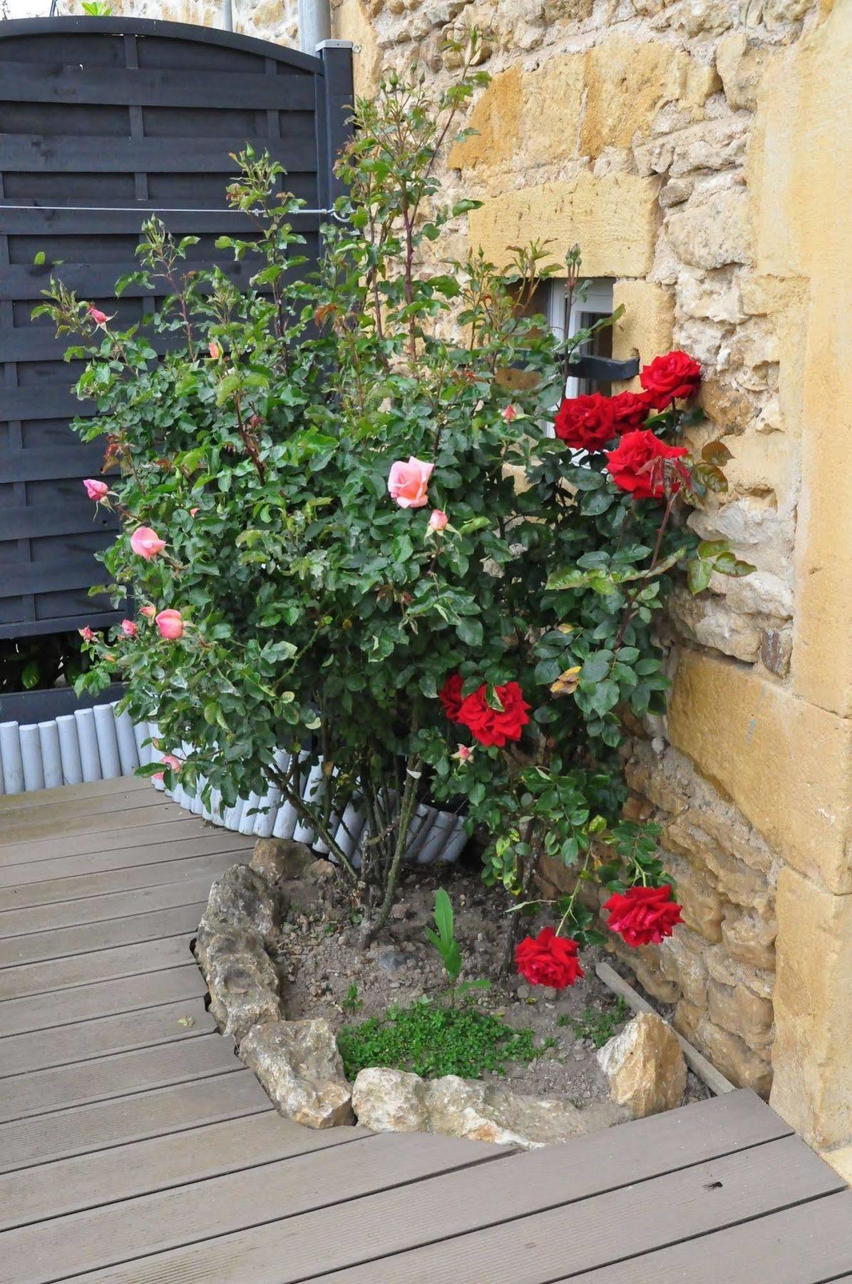 Le Clos Du Cher En Beaujolais Saint-Germain-Nuelles Eksteriør billede