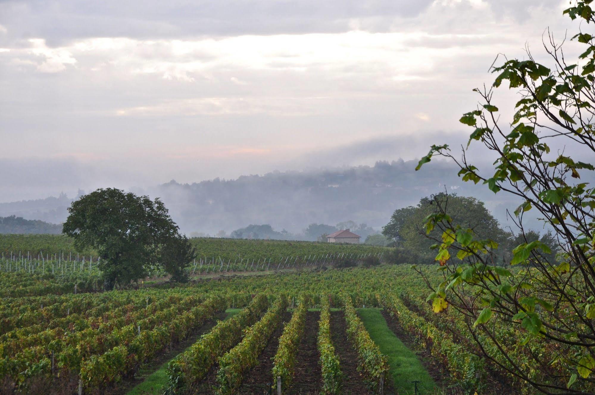 Le Clos Du Cher En Beaujolais Saint-Germain-Nuelles Eksteriør billede