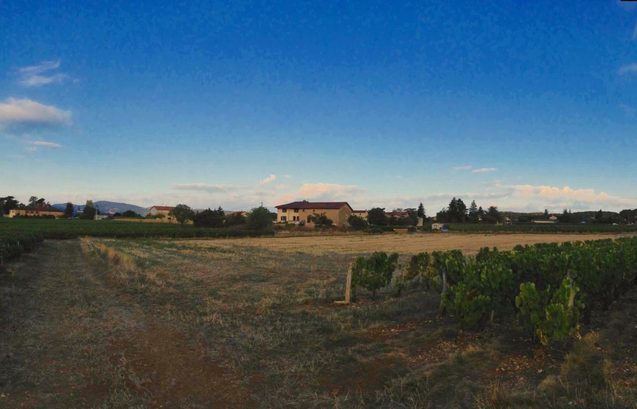 Le Clos Du Cher En Beaujolais Saint-Germain-Nuelles Eksteriør billede
