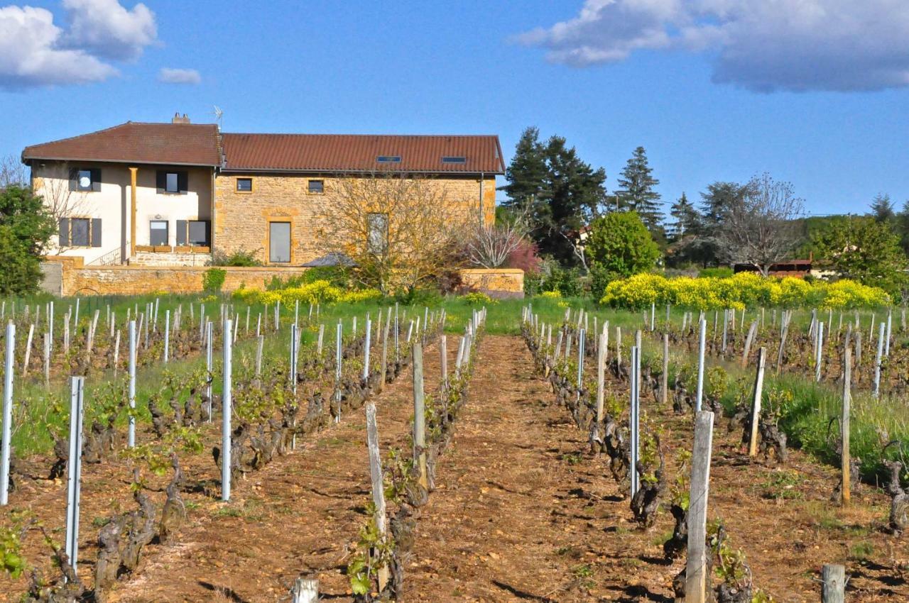 Le Clos Du Cher En Beaujolais Saint-Germain-Nuelles Eksteriør billede